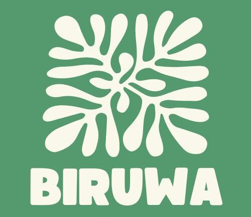 biruwa logo 1